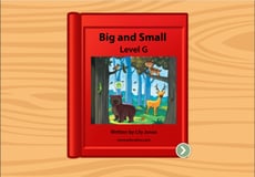 Big and Small: Level G
