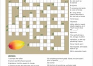 5th Grade Vocabulary Crossword