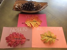 Parts of Speech Fall Scavenger Hunt