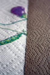 Paper Towel Science Project: Capillarity