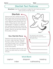 Starfish Text Features
