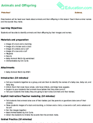 Animals and Offspring