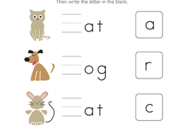 Write the Missing Letter: Super Pets
