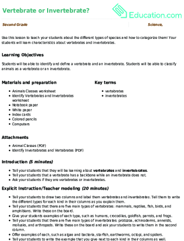 Vertebrate or Invertebrate?